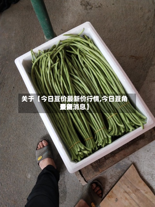 关于【今日豆价最新价行情,今日豆角费用
最新消息】-第3张图片