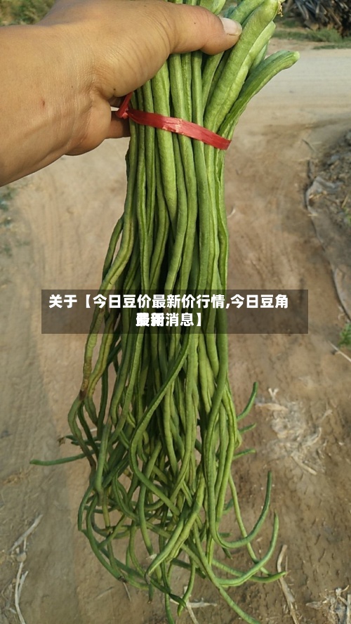 关于【今日豆价最新价行情,今日豆角费用
最新消息】-第2张图片