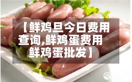 【鲜鸡旦今日费用
查询,鲜鸡蛋费用
鲜鸡蛋批发】-第3张图片