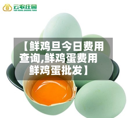 【鲜鸡旦今日费用
查询,鲜鸡蛋费用
鲜鸡蛋批发】-第2张图片