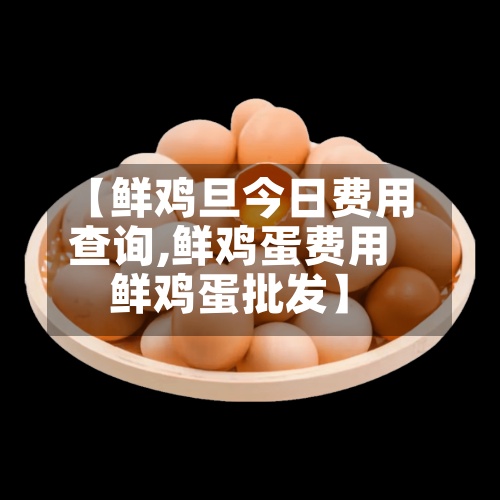 【鲜鸡旦今日费用
查询,鲜鸡蛋费用
鲜鸡蛋批发】