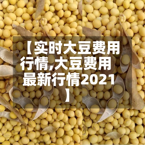 【实时大豆费用行情,大豆费用最新行情2021】-第3张图片