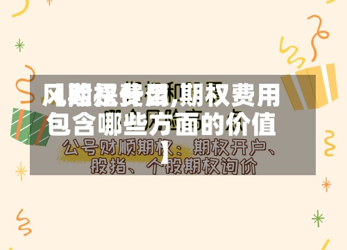 【期权费用风险是什么,期权费用包含哪些方面的价值】