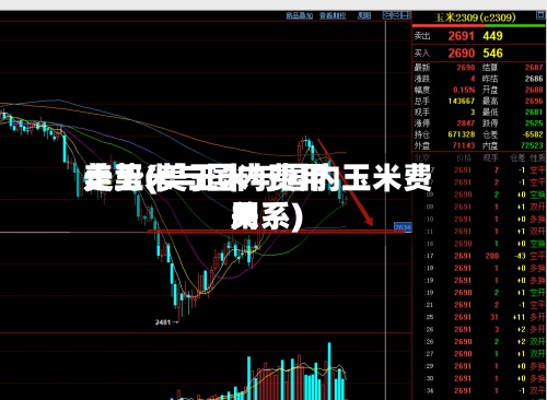 美玉米与国内费用
走势(美玉米与国内玉米费用
关系)