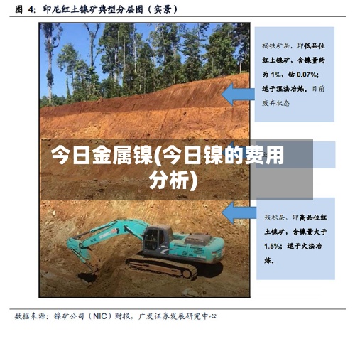 今日金属镍(今日镍的费用
分析)-第3张图片
