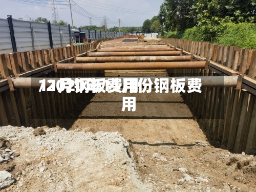 11月钢板费用/2020年11月份钢板费用
