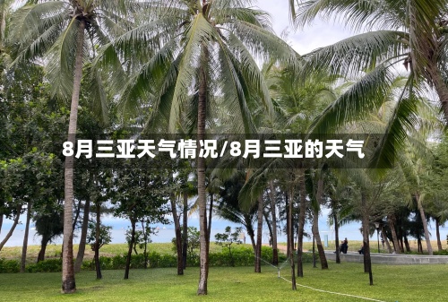 8月三亚天气情况/8月三亚的天气-第2张图片