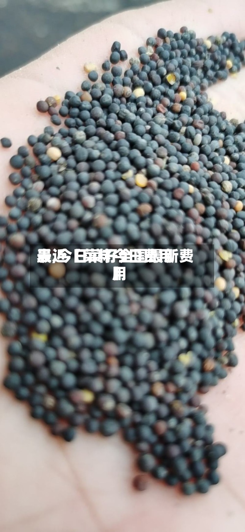 最近【菜籽今日费用
表,今日菜籽全国最新费用
】