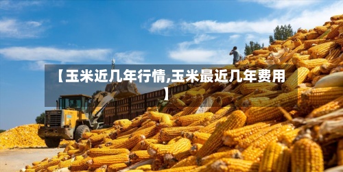 【玉米近几年行情,玉米最近几年费用
】-第2张图片