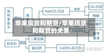 苹果现货和期货/苹果现货和期货的关系