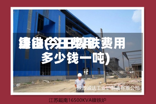 镍铁今日费用
唐山(今日镍铁费用
多少钱一吨)-第2张图片