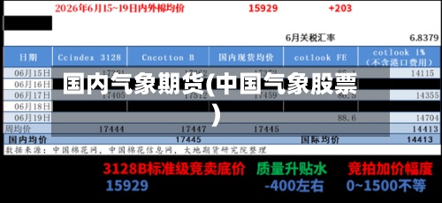 国内气象期货(中国气象股票)