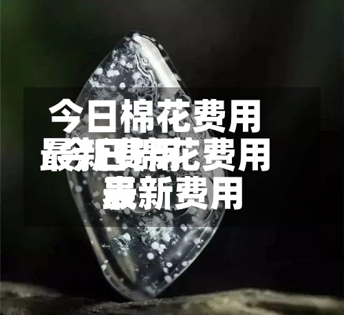 今日棉花费用
最新费用
/今日棉花费用
最新费用
表