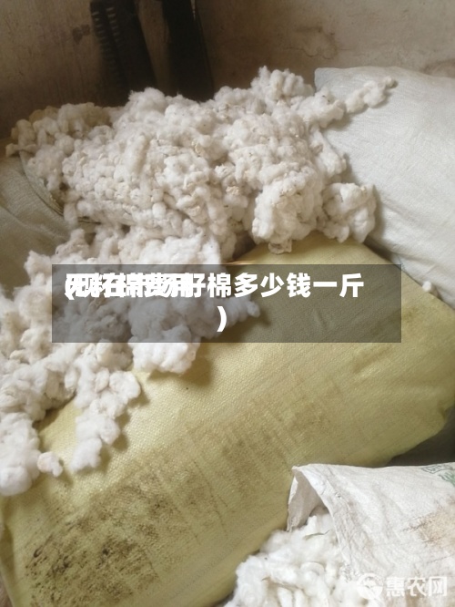无籽棉费用
(现在市场籽棉多少钱一斤)