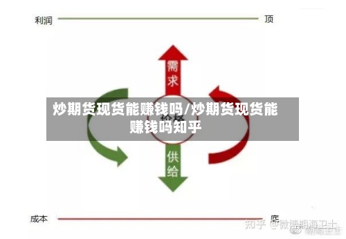 炒期货现货能赚钱吗/炒期货现货能赚钱吗知乎-第2张图片