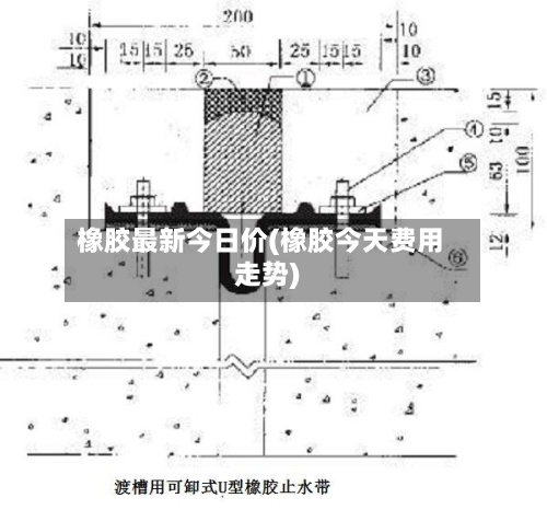 橡胶最新今日价(橡胶今天费用走势)-第2张图片