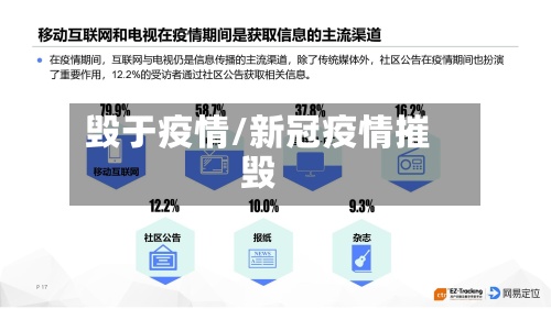 毁于疫情/新冠疫情摧毁