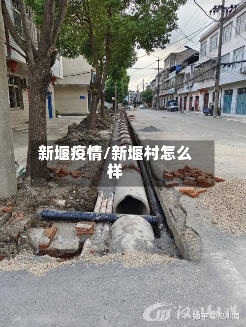 新堰疫情/新堰村怎么样