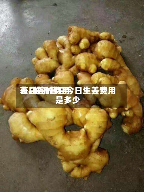 莒县姜的费用
表/临沂莒县今日生姜费用
是多少-第2张图片