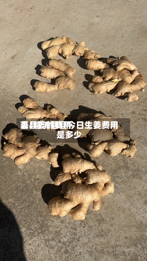 莒县姜的费用
表/临沂莒县今日生姜费用
是多少-第3张图片