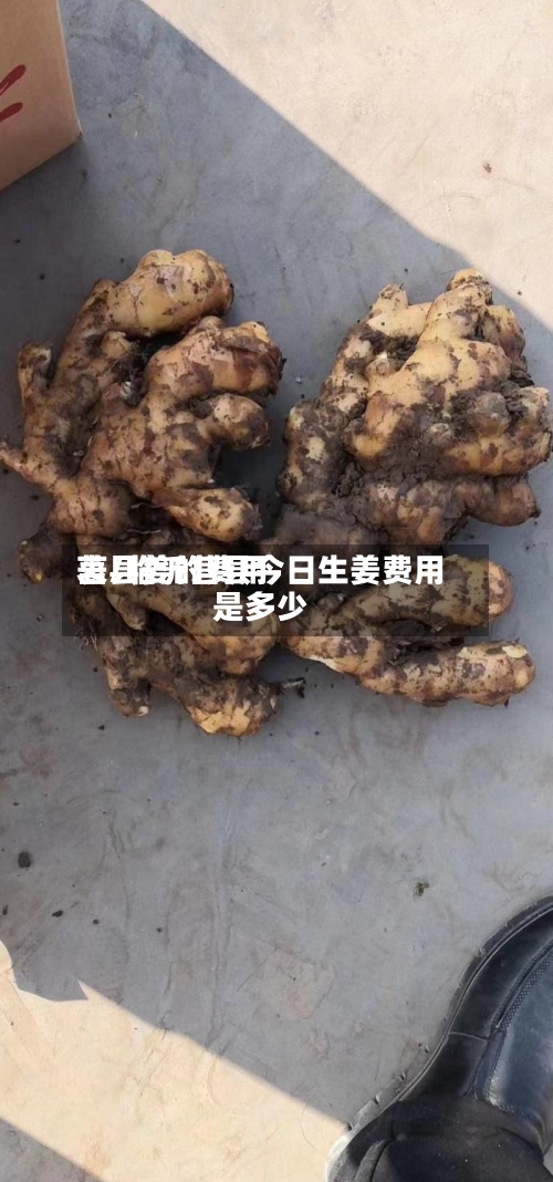 莒县姜的费用
表/临沂莒县今日生姜费用
是多少