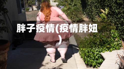 胖子疫情(疫情胖妞)-第2张图片