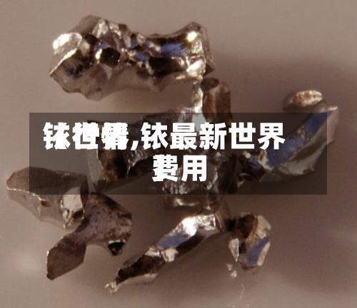 【世界铱行情,铱最新世界费用】-第2张图片