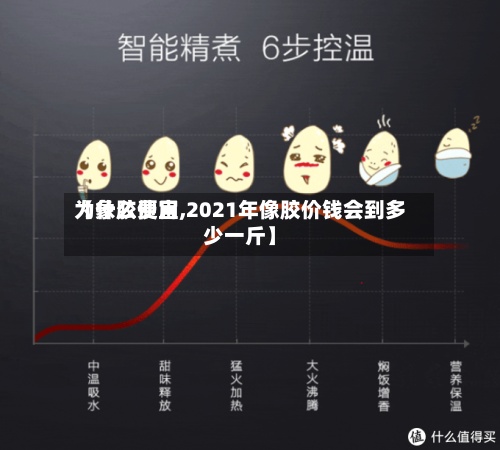 【象胶费用
为什么便宜,2021年像胶价钱会到多少一斤】-第2张图片