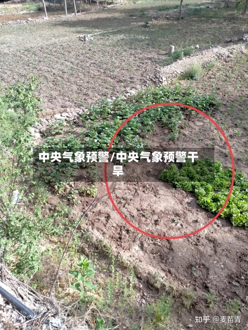 中央气象预警/中央气象预警干旱-第2张图片