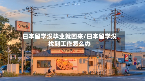 日本留学没毕业就回来/日本留学没找到工作怎么办-第2张图片