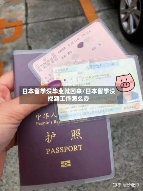 日本留学没毕业就回来/日本留学没找到工作怎么办