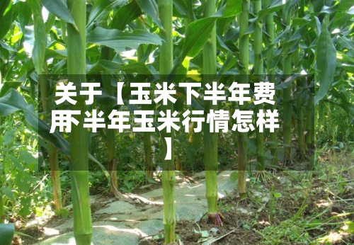 关于【玉米下半年费用,下半年玉米行情怎样】