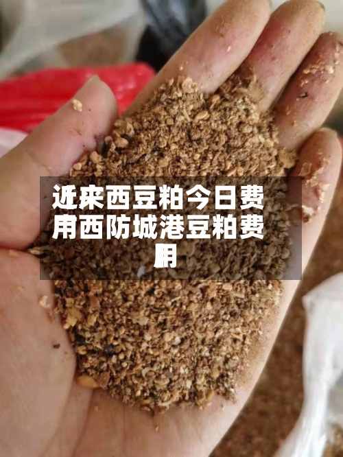 近来
【广西豆粕今日费用
广西防城港豆粕费用
】-第2张图片