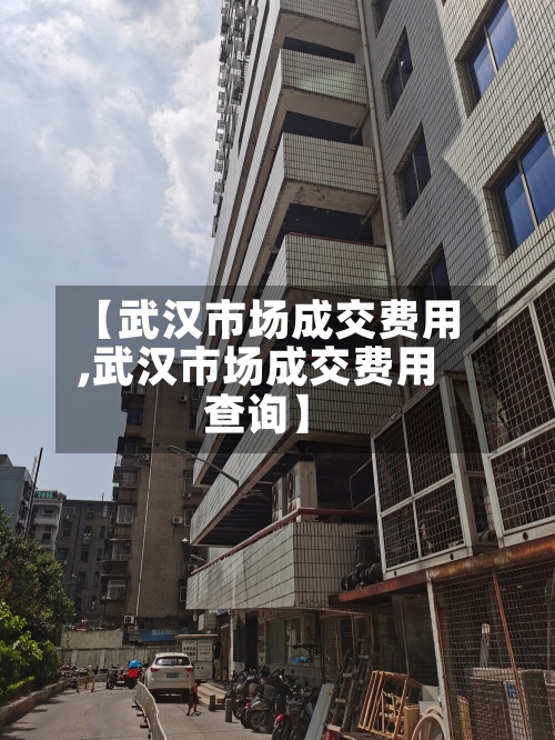 【武汉市场成交费用,武汉市场成交费用查询】