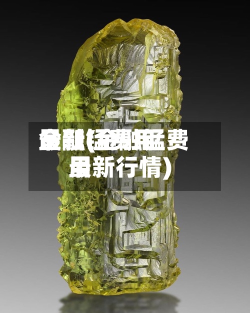 金融锰费用最新(金融锰费用最新行情)