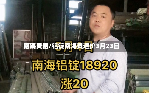 铝锭费用
南海灵通/铝锭南海灵通价3月23日-第2张图片