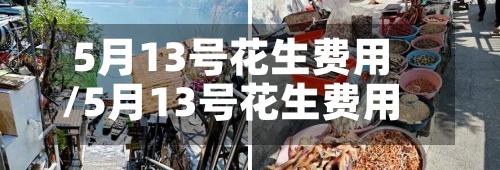 5月13号花生费用
/5月13号花生费用
多少
