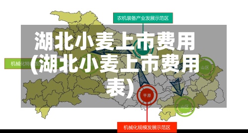 湖北小麦上市费用(湖北小麦上市费用表)