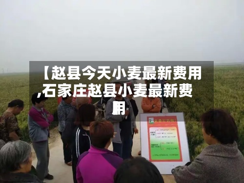 【赵县今天小麦最新费用
,石家庄赵县小麦最新费用
】