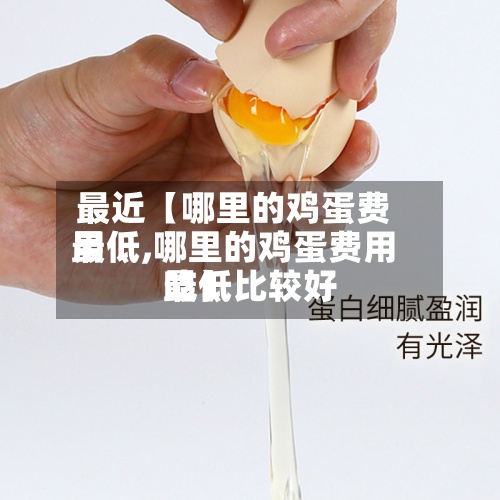 最近【哪里的鸡蛋费用
最低,哪里的鸡蛋费用
最低比较好
吃】
