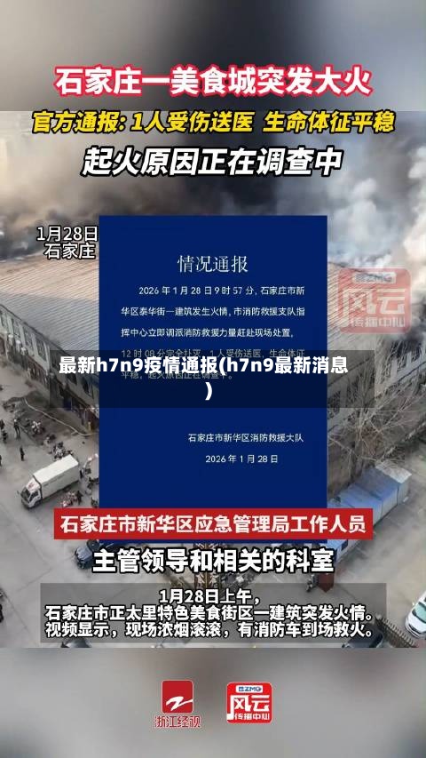 最新h7n9疫情通报(h7n9最新消息)-第3张图片