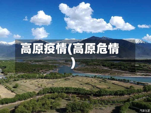 高原疫情(高原危情)-第2张图片