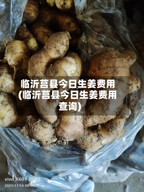 临沂莒县今日生姜费用
(临沂莒县今日生姜费用
查询)-第2张图片