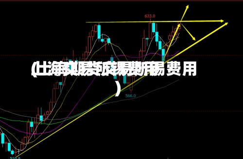上海交易所锡费用(上海期货交易所锡费用)