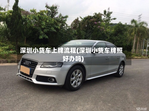 深圳小货车上牌流程(深圳小货车牌照好办吗)