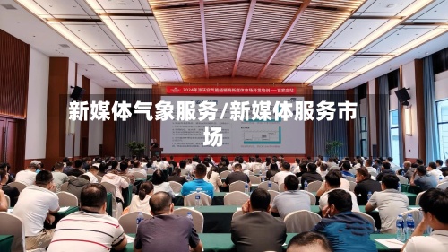 新媒体气象服务/新媒体服务市场