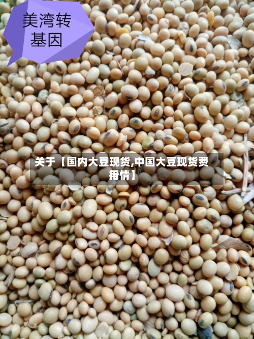 关于【国内大豆现货,中国大豆现货费用行情】