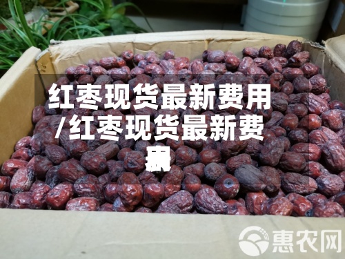 红枣现货最新费用
/红枣现货最新费用
表
