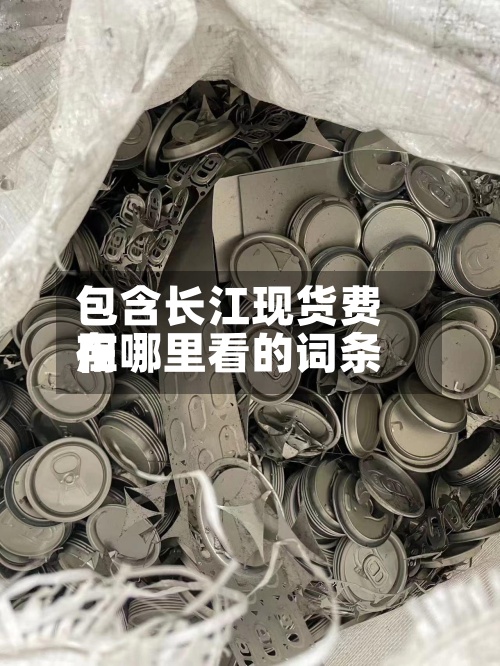 包含长江现货费用
在哪里看的词条