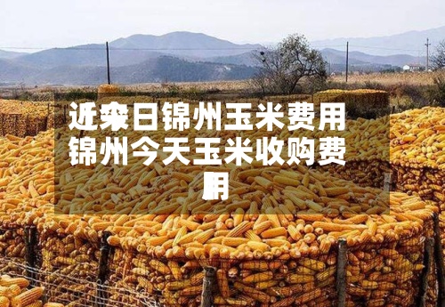 近来
【今日锦州玉米费用
锦州今天玉米收购费用
】